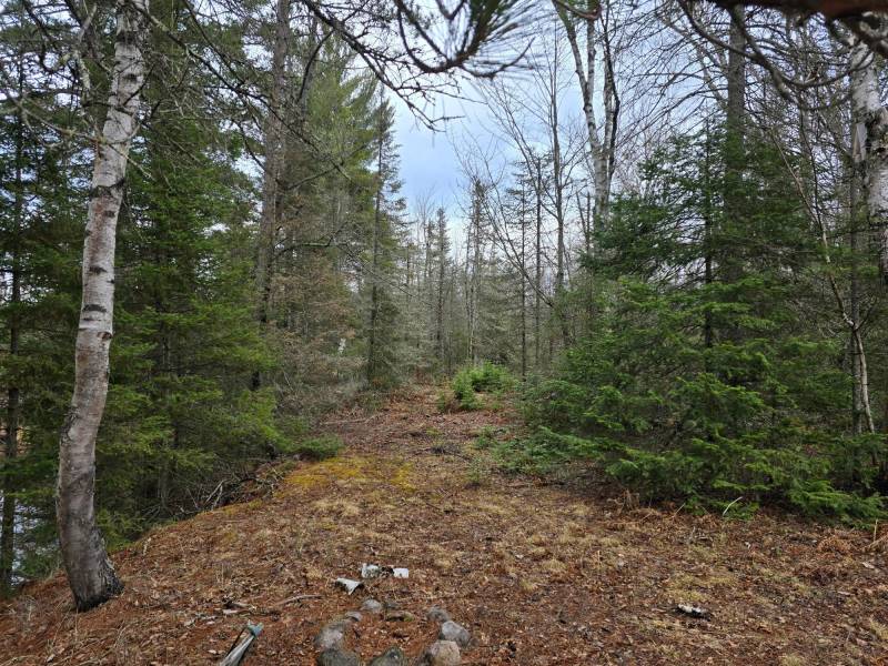 Off Hwy 45, , Land O Lakes,  WI 54540 United States