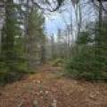 Off Hwy 45, , Land O Lakes,  WI 54540 United States