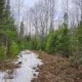 Off Hwy 45, , Land O Lakes,  WI 54540 United States