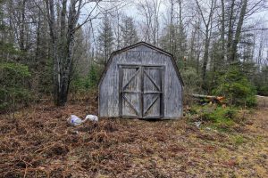 Off Hwy 45, , Land O Lakes,  WI 54540 United States
