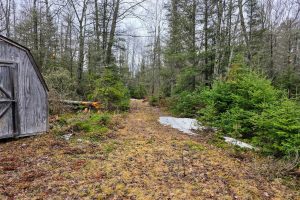 Off Hwy 45, , Land O Lakes,  WI 54540 United States