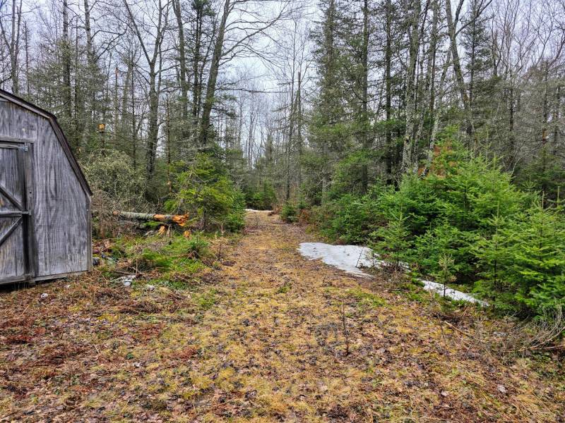 Off Hwy 45, , Land O Lakes,  WI 54540 United States