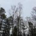 Off Hwy 45, , Land O Lakes,  WI 54540 United States