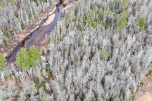 Off Hwy 45, , Land O Lakes,  WI 54540 United States