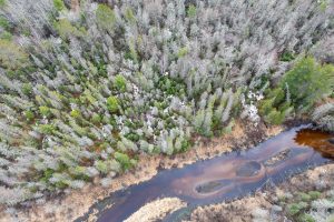 Off Hwy 45, , Land O Lakes,  WI 54540 United States