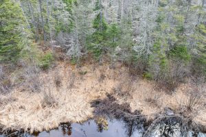 Off Hwy 45, , Land O Lakes,  WI 54540 United States