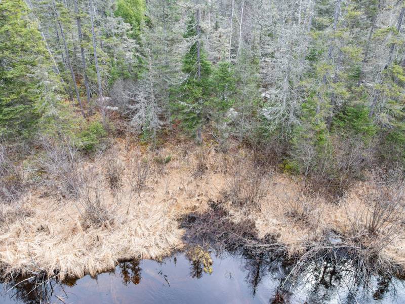 Off Hwy 45, , Land O Lakes,  WI 54540 United States