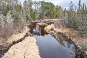 Off Hwy 45, , Land O Lakes,  WI 54540 United States