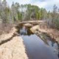 Off Hwy 45, , Land O Lakes,  WI 54540 United States