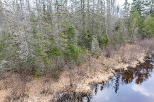 Off Hwy 45, , Land O Lakes,  WI 54540 United States
