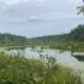 On Bear Lail Pt, , Phelps,  WI 54554 United States