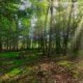 W6066 Leith Dr, , Ainsworth,  WI 54462 United States