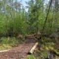 W6066 Leith Dr, , Ainsworth,  WI 54462 United States