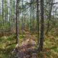 W6066 Leith Dr, , Ainsworth,  WI 54462 United States
