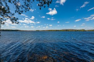 Whole/8221 Trails End Rd, , Land O Lakes,  WI 54540 United States