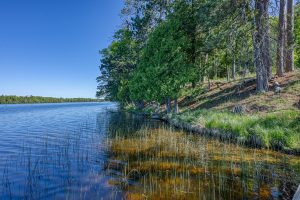 Whole/8221 Trails End Rd, , Land O Lakes,  WI 54540 United States