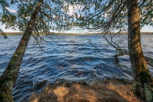 Whole/8221 Trails End Rd, , Land O Lakes,  WI 54540 United States