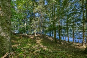Whole/8221 Trails End Rd, , Land O Lakes,  WI 54540 United States