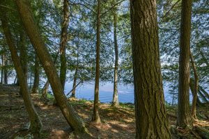 Whole/8221 Trails End Rd, , Land O Lakes,  WI 54540 United States