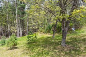 10362 Leisure Dr, , Hazelhurst,  WI 54531 United States
