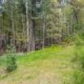 10362 Leisure Dr, , Hazelhurst,  WI 54531 United States