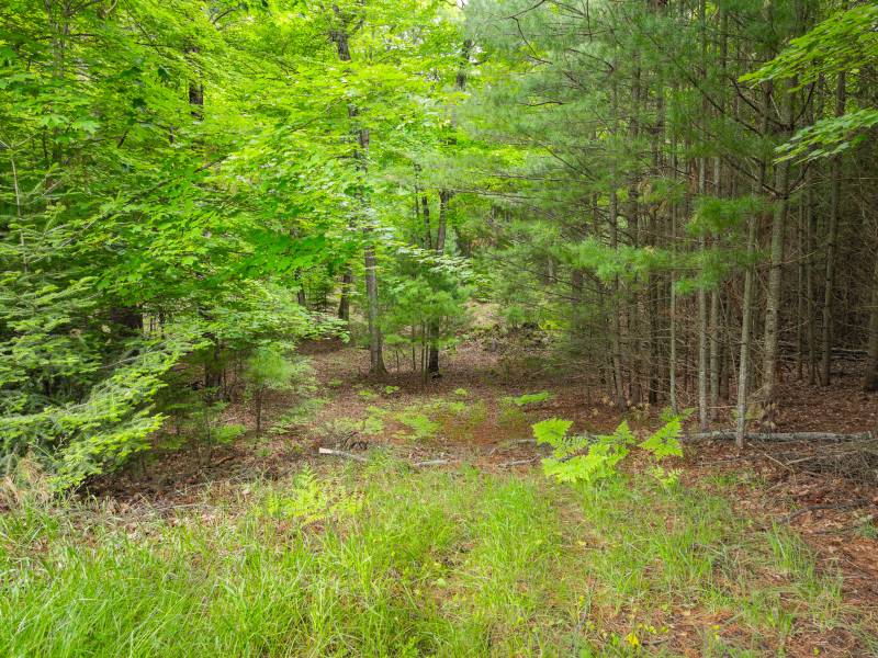 1719 McKinley Blvd, , Eagle River,  WI 54521 United States
