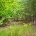 1719 McKinley Blvd, , Eagle River,  WI 54521 United States