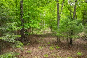 1719 McKinley Blvd, , Eagle River,  WI 54521 United States