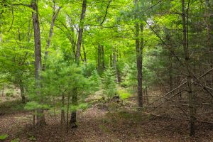 1719 McKinley Blvd, , Eagle River,  WI 54521 United States