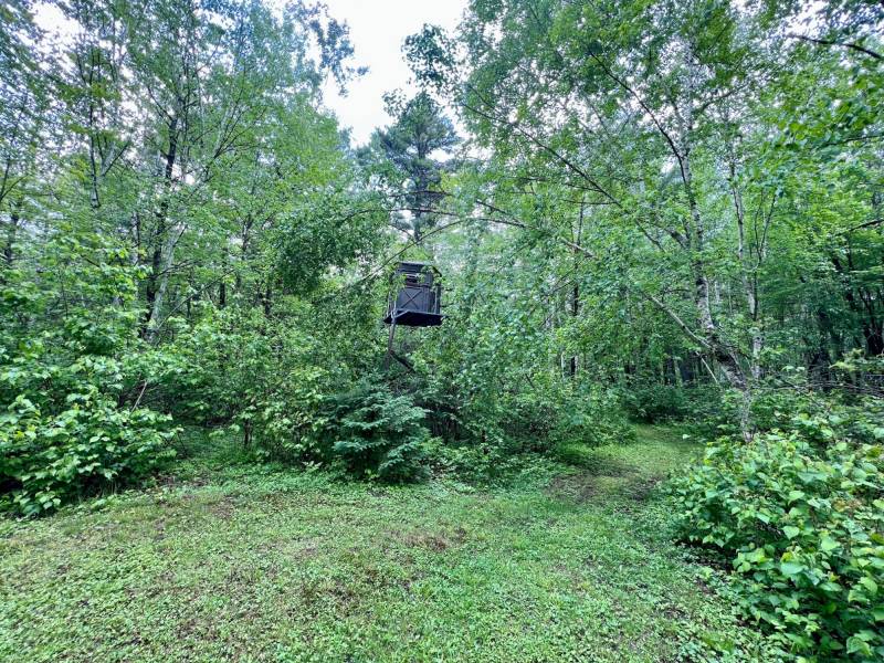 4011 Elsner Rd, , Cassian,  WI  United States