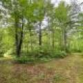 4011 Elsner Rd, , Cassian,  WI  United States
