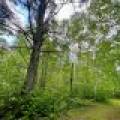4011 Elsner Rd, , Cassian,  WI  United States
