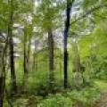 4011 Elsner Rd, , Cassian,  WI  United States