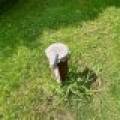 4011 Elsner Rd, , Cassian,  WI  United States