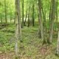 7061 CTH P, , Presque Isle,  WI 54557 United States