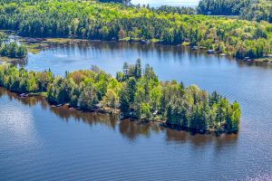 7785 Friedle Rd, , Three Lakes,  WI 54562 United States