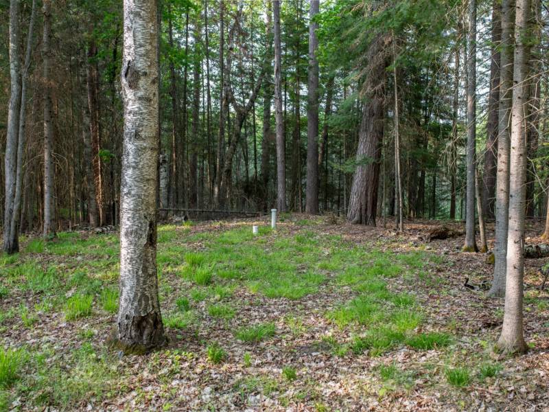 8066 Nicks Ln, , Sugar Camp,  WI 54521 United States