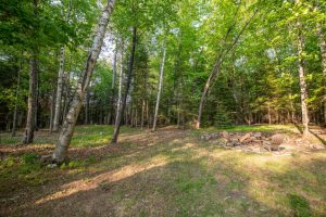 8066 Nicks Ln, , Sugar Camp,  WI 54521 United States