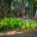 8066 Nicks Ln, , Sugar Camp,  WI 54521 United States