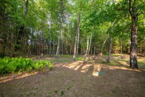 8066 Nicks Ln, , Sugar Camp,  WI 54521 United States