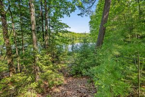 8550 Sand Lake Rd, , Cassian,  WI 54529 United States