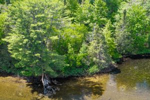Lot 2 Donlo Ln, , Conover,  WI 54519 United States