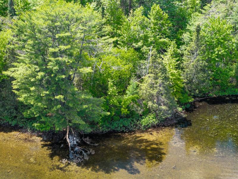 Lot 2 Donlo Ln, , Conover,  WI 54519 United States
