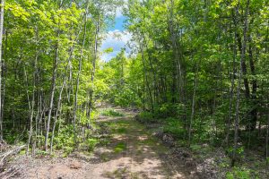Lot 2 Donlo Ln, , Conover,  WI 54519 United States