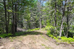 Lot 2 Donlo Ln, , Conover,  WI 54519 United States
