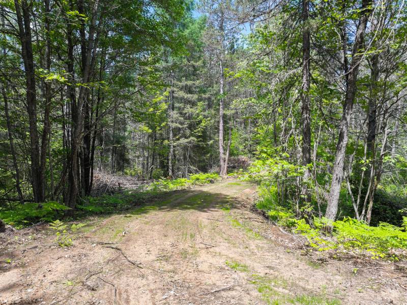 Lot 2 Donlo Ln, , Conover,  WI 54519 United States