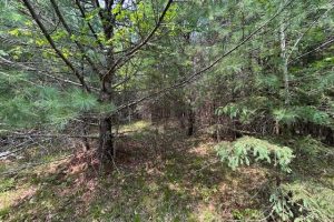 On Sunset Rd, , Eagle River,  WI 54521 United States