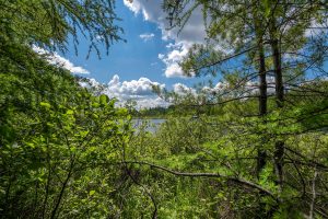 Hwy 45, , Three Lakes,  WI 54562 United States