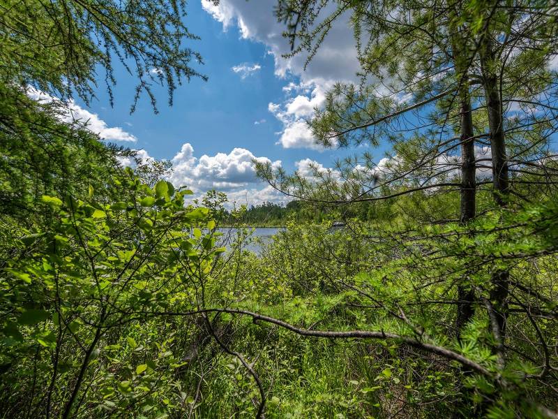 Hwy 45, , Three Lakes,  WI 54562 United States
