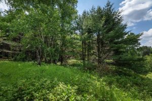 Hwy 45, , Three Lakes,  WI 54562 United States